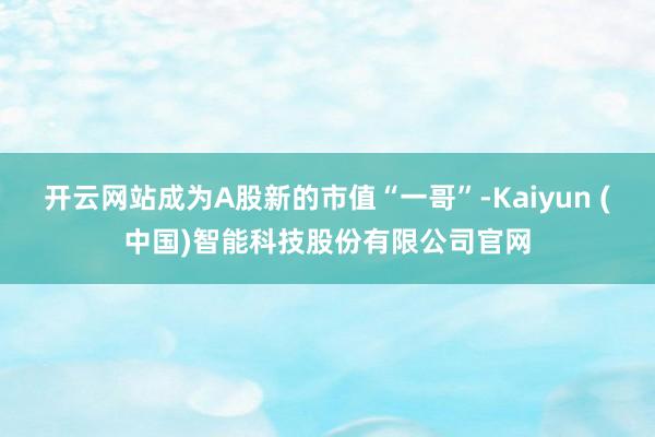 开云网站成为A股新的市值“一哥”-Kaiyun (中国)智能科技股份有限公司官网