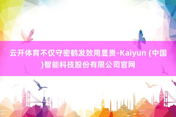 云开体育不仅守密鹤发效用显贵-Kaiyun (中国)智能科技股份有限公司官网