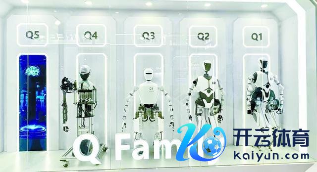 Q系列东说念主形机器东说念主系统 (受访者提供)