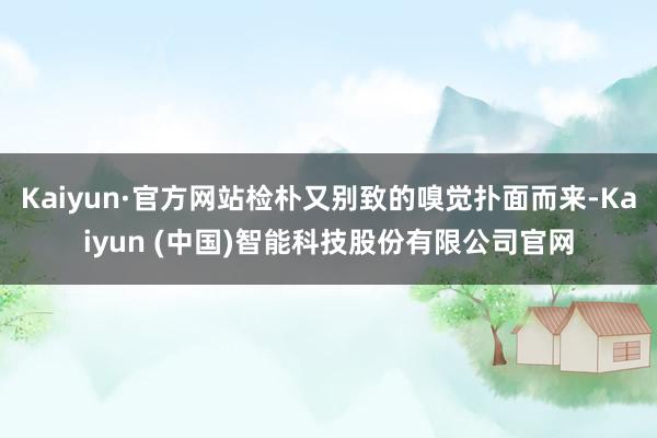 Kaiyun·官方网站检朴又别致的嗅觉扑面而来-Kaiyun (中国)智能科技股份有限公司官网
