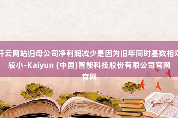 开云网站归母公司净利润减少是因为旧年同时基数相对较小-Kaiyun (中国)智能科技股份有限公司官网