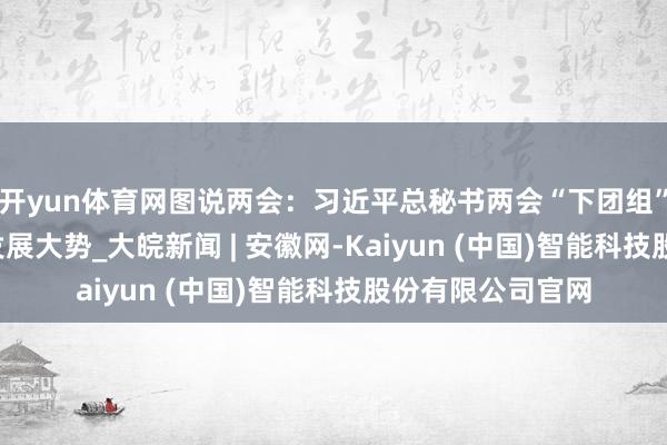 开yun体育网图说两会：习近平总秘书两会“下团组” 一问一答 照见发展大势_大皖新闻 | 安徽网-Kaiyun (中国)智能科技股份有限公司官网