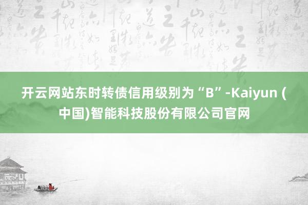 开云网站东时转债信用级别为“B”-Kaiyun (中国)智能科技股份有限公司官网