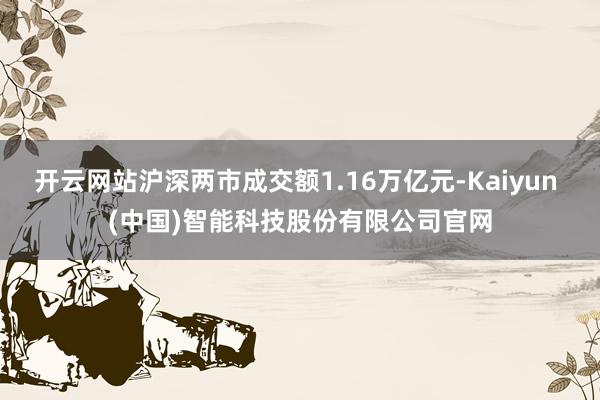 开云网站沪深两市成交额1.16万亿元-Kaiyun (中国)智能科技股份有限公司官网