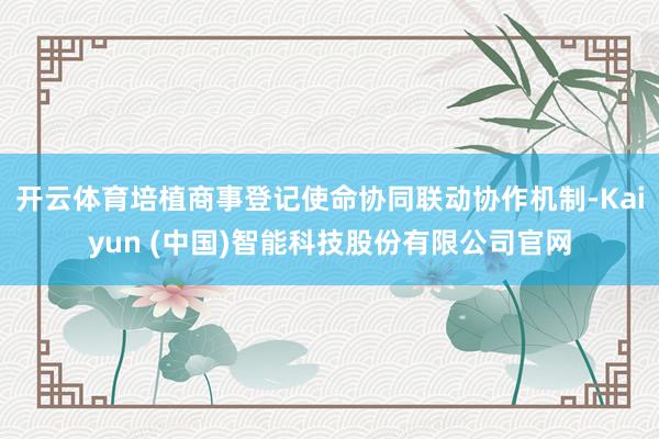 开云体育培植商事登记使命协同联动协作机制-Kaiyun (中国)智能科技股份有限公司官网