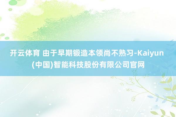 开云体育 由于早期锻造本领尚不熟习-Kaiyun (中国)智能科技股份有限公司官网