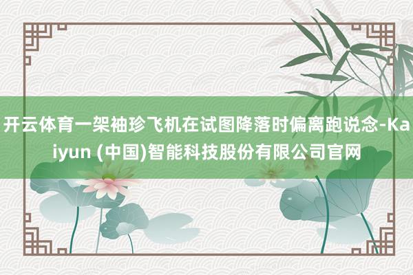 开云体育一架袖珍飞机在试图降落时偏离跑说念-Kaiyun (中国)智能科技股份有限公司官网